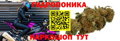 соль ск Ипатово