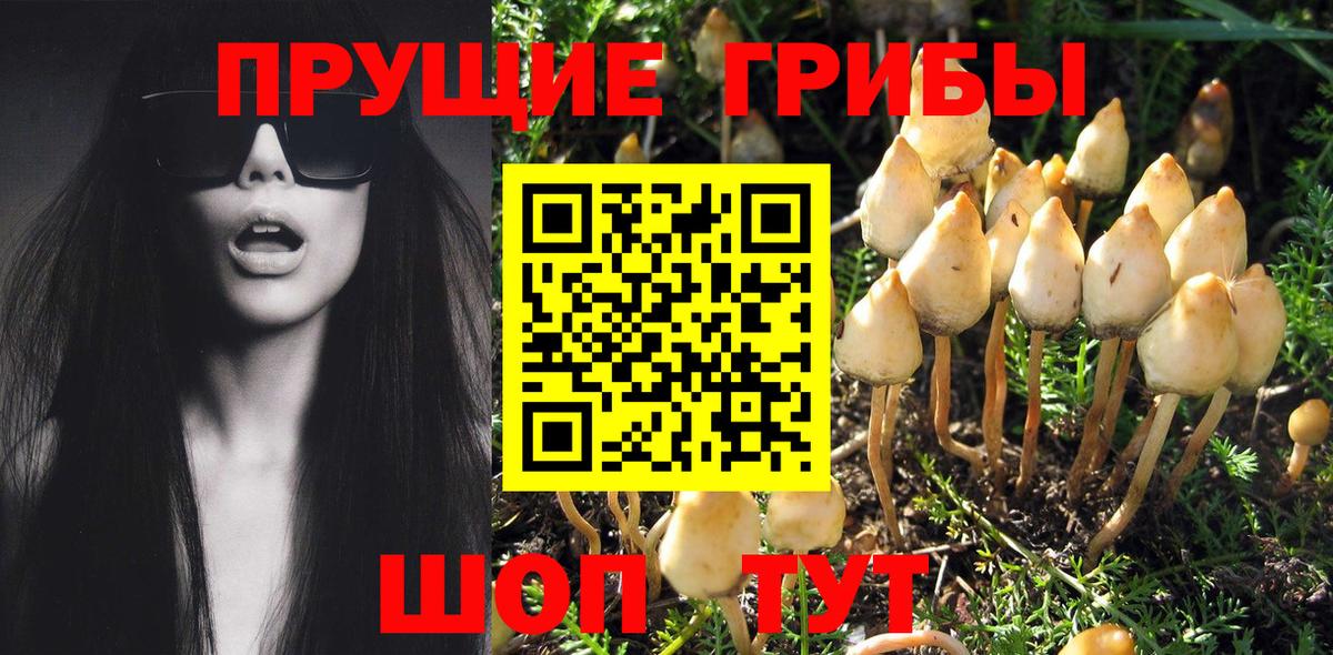 Галлюциногенные грибы мицелий Лыткарино